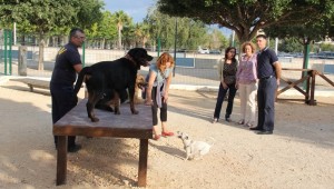 Nuevo parque para esparcimiento de perros