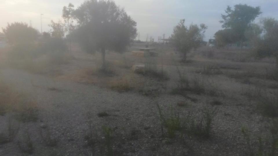 14040177_1002066803239577_314311818674378456_n