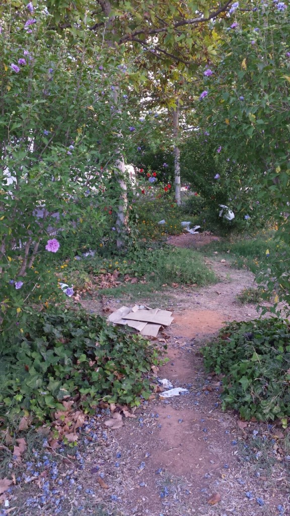 image7