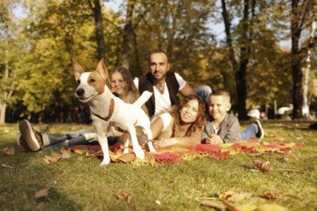 Valencia acogerá el primer festival para familias y mascotas de Europa