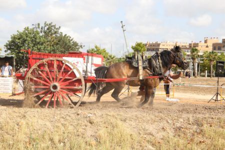 El Grup Custom La Rabosa llenará el ágora del Parc Central en la tradicional Matinal motera