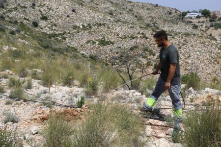 Riegan los árboles replantados en la Serra Perenxisa por el calor y para mejorar el arraigo