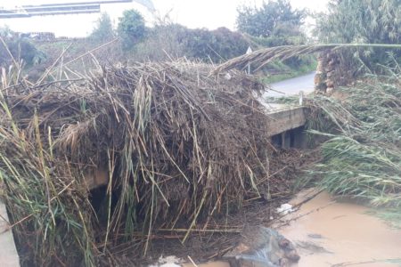 Lodo y cañas debido a las fuertes lluvias en guales y pasos de agua en el término de Torrent