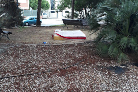 Quejas en la Alameda Reina Sofía y alrededores por el estado de los jardines