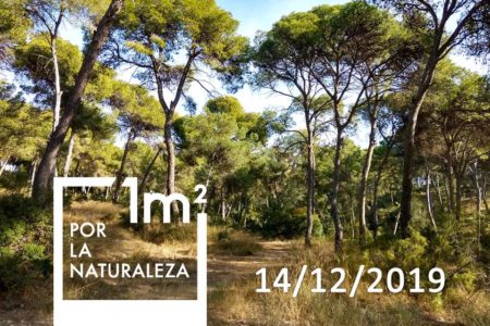 La AVV Vedat organiza una limpieza del bosque con la iniciativa «1m2 por la naturaleza»
