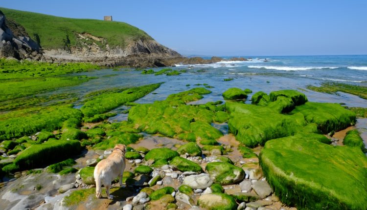 Cantabria I