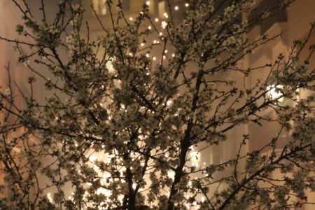 Más de 12.000 cohetes iluminan Torrent con la Entrà de la flor