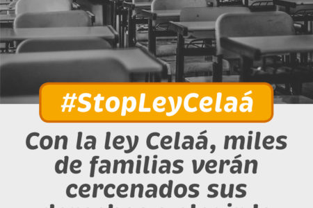 “Exigimos pluralidad y libertad para poder elegir. El Gobierno pretende un control político de la educación”