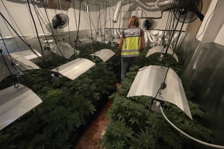 La Policía Nacional desmantela en Torrent un laboratorio de marihuana en el interior de una vivienda