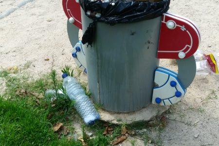 Denuncian suciedad y basura en los columpios de Parc Central