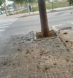 Denuncian acumulación de heces y «chapuzas» en los arreglos de las calles próximas al Hort de Trénor