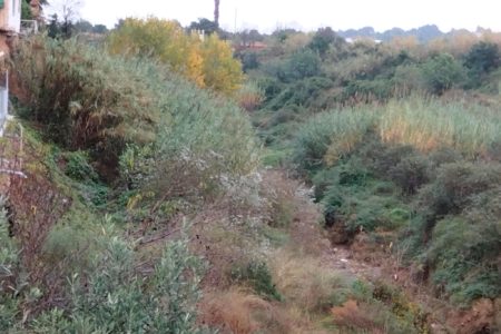 Inundaciones y barranco lleno de especies invasoras, es el día a día de la urbanización El Pantano «estamos abandonados por el Ayuntamiento»