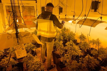 Dos detenidos en Torrent tras desarticular un laboratorio de marihuana