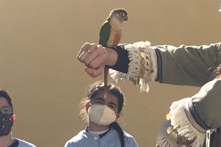 Los niños de La Purísima rescatan un agaporni y lo devuelven a su dueña