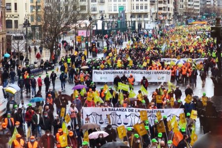 Más de 8.000 agricultores y 250 tractores colpasan Valencia para lanzar un SOS por la supervicencia del campo