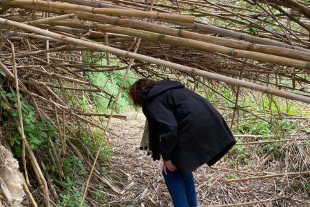 El PP denuncia el abandono de los parajes naturales de Torrent en Pascua