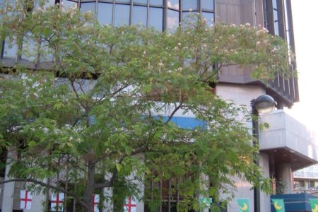 El Ayuntamiento de Torrent condenado por el TSJCV por el llamado «Caso Becarios»