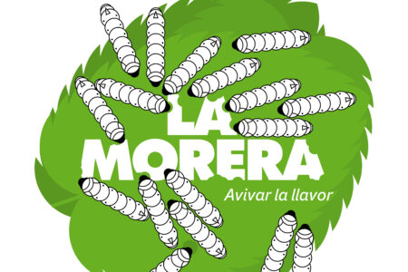 La V Semana de la AgriCultura estará dedicada a la morera