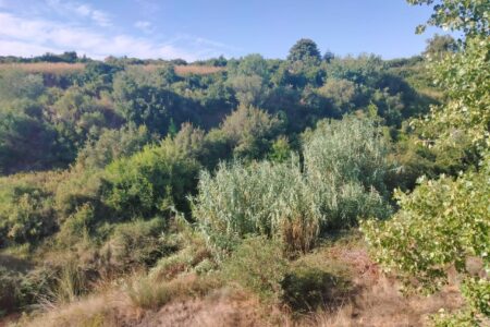 Vecinos del Pantano alertan de la situación del barranc de l’Horteta ante barrancadas de agua este otoño