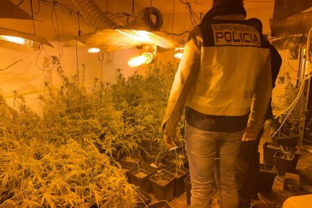 Detenido en Torrent tras embestir a dos coches patrulla, darse a la fuga y localizarlo en una nave con 600 plantas de marihuana 