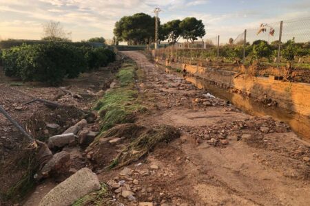 La DANA causa pérdidas superiores a 15 millones en la agricultura de Valencia y Castellón