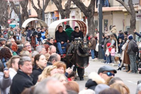 Los animales de Torrent, protagonistas de la festividad de Sant Antoni Abad