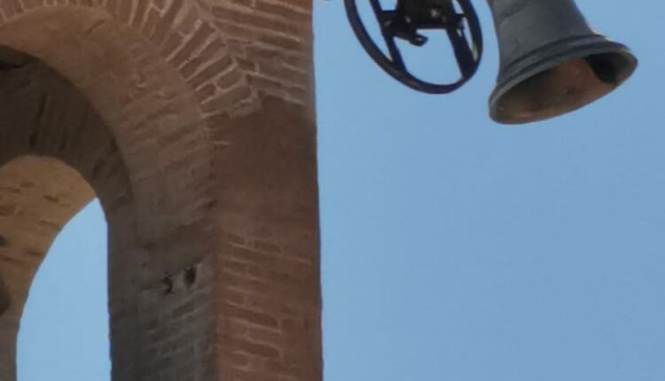 campana 5