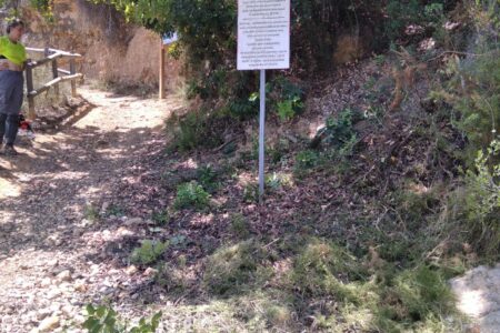 La alcaldesa informa a diario de la recuperación del Sendero del Reg Mil•lenari por historias de Instagram