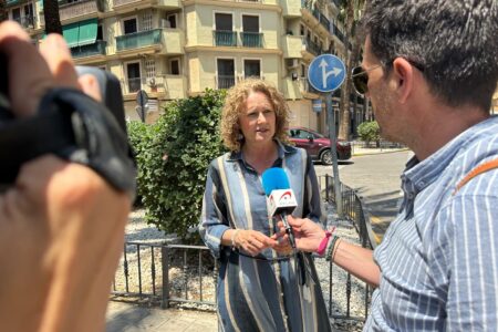 La alcaldesa anuncia que se retirarán las palmeras de San Valeriano y Germanies
