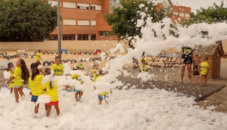 CAMPUS TORRENT (1)