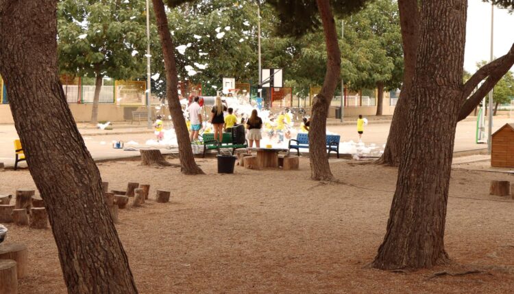 CAMPUS TORRENT (2)