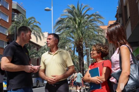 Técnicos de Elche revisan las palmeras que van a ser sustituidas por otro tipo de árbol en tres calles de Torrent