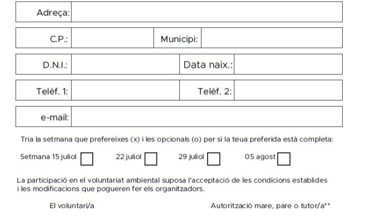 ficha inscripción voluntariado estival 2024(1)