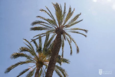 Torrent activa su plan contra las altas temperaturas: recomendaciones y recursos para afrontar la ola de calor