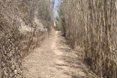 Torrent continúa recuperando el Sendero del Reg Mil·lenari