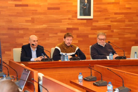 Denuncian que el PSOE gastó 52.076,45€ en publicitar su Plan Ficus