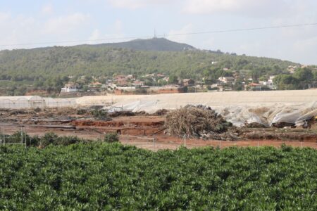 AVA-ASAJA estima que la DANA causa unas pérdidas de 1.089 millones en la agricultura valenciana