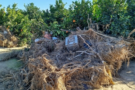 AVA-ASAJA denuncia que el Gobierno deja fuera de las ayudas de la DANA a agricultores por un mero trámite burocrático