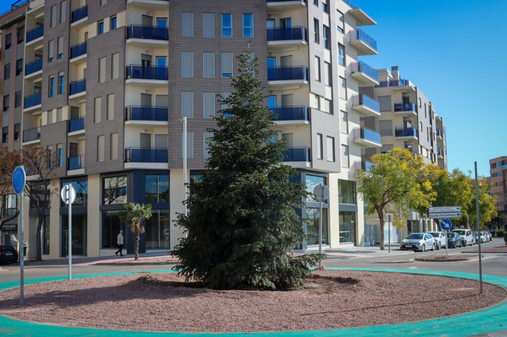 Arbol de la Solidaridad