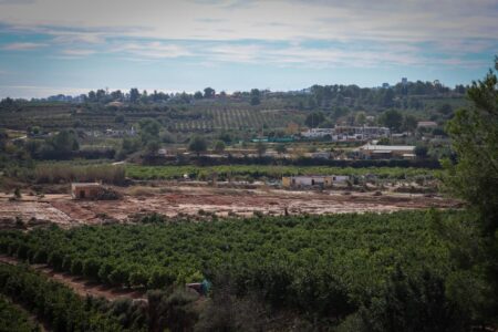 Torrent se beneficiará de la reforma de la Ley de la Huerta del Botànic que ha aprobado el Consell y que elimina trabas en infraestructuras hídricas y desarrollo agrario