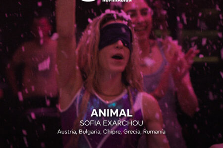 Torrent se suma al circuito europeo de cine con la proyección de «Animal» donde los torrentinos podrán votar al final de la proyección