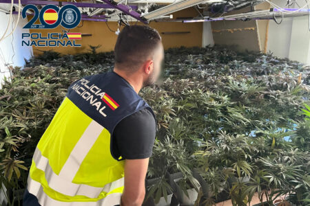 La Policía Nacional desmantela cinco plantaciones indoor de marihuana y detiene a seis personas en Torrent y Manises