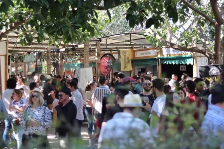 35ª Mostra Proava, el mayor evento enogastronómico de la Comunidad Valenciana